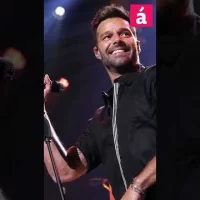 ¿Qué pasó con el caso de  Ricky Martin y su sobrino?