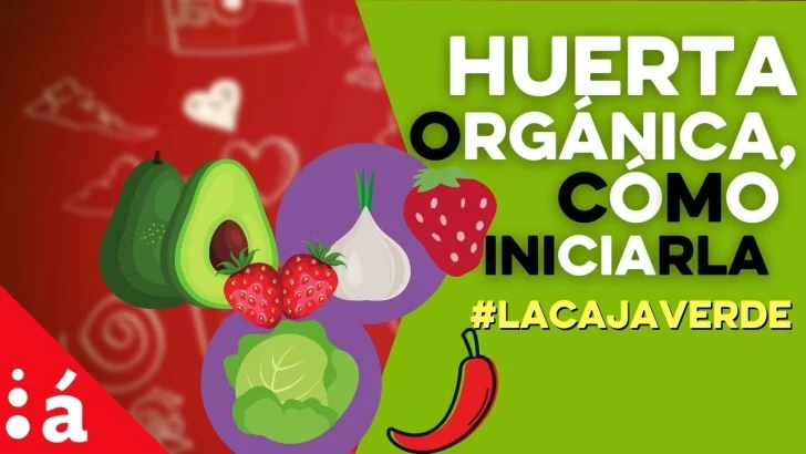 Huerta orgánica, cómo iniciarla #LaCajaVerde