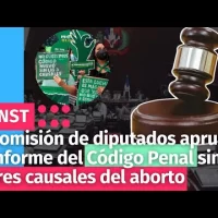 Comisión de diputados aprueba informe del Código Penal sin las tres causales del aborto