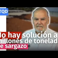 Miguel Ceara Hatton advierte no hay solución a 3 millones de toneladas de sargazo que llega en RD