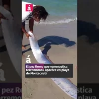 El pez que «pronostica terremotos» aparece en playa de Montecristi