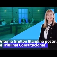 Antonia Grullón Blandino se postula ante el Tribunal Constitucional ante el CNM