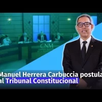 Manuel Herrera Carbuccia aspirante al Tribunal Constitucional ante el CNM