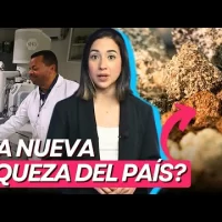 CONFIRMADO: En Pedernales hay tierras raras, según químico experto