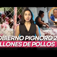Gobierno pignoró 2 millones de pollos para evitar alzas en el verano, según Pro Consumidor
