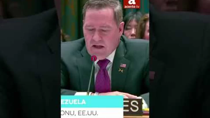 EE.UU. a LA ONU:  ¿Qué tipo de organización es esta?