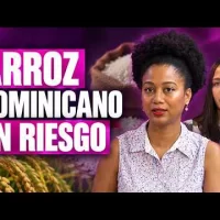 EE. UU. pide eliminar el arancel al arroz: ¿qué pasará con los productores de RD?