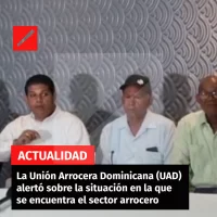 La Unión Arrocera Dominicana (UAD) alertó sobre la situación en la que se encuentra el sector arrocero