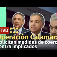 Conocen coerción a imputados Caso Calamar: Ramón Peralta, Gonzalo Castillo, Donald Guerrero y otros