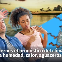 Hoy viernes 8, el pronóstico del clima: mucha humedad, calor, aguaceros dispersos