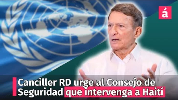 Canciller pide al Consejo de Seguridad urgente mandato amplio a fuerza multinacional