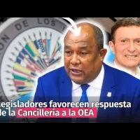 Legisladores favorecen respuesta de la Cancillería a la OEA
