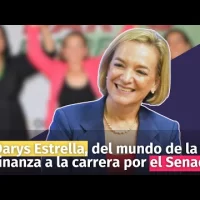 Darys Estrella, del mundo de la alta finanza a la carrera por el Senado