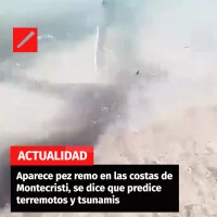 Aparece pez remo en las costas de Montecristi, se dice que predice terremotos y tsunamis