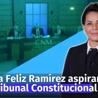 Postulante Dalia Feliz Ramírez se presenta ante el Consejo Nac. de la Magistratura