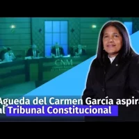 Agueda García ante el Consejo Nacional de la Magistratura como aspirante al Tribunal Constitucional