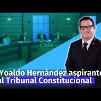 Postulante al Tribunal Constitucional Yoaldo Hernández Perera