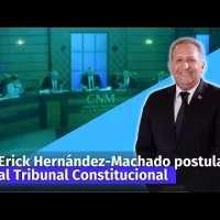Postulante al Tribunal Constitucional Erick José Hernández-Machado