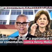 Raquel Peña “frena” a aspirante al TC Rigoberto Rosario por comentarios contra Henry Molina