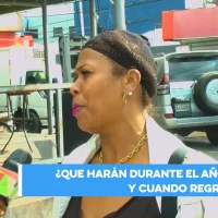 Éxodo de Año Nuevo hacia el interior “lento y moderado”