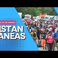Congresistas rechazan solicitud ACNUR de aceptar haitianos como refugiados