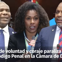 Falta de voluntad y coraje paraliza reforma del Código Penal en la Cámara de Diputados