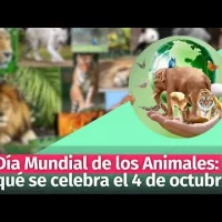 Día Mundial de los Animales: por qué se celebra el  4 de octubre