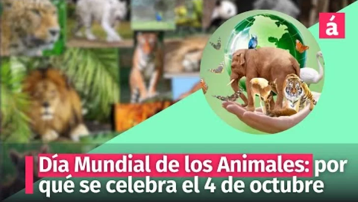 Día Mundial de los Animales: por qué se celebra el  4 de octubre