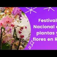 Festival Nacional de las plantas y flores en RD