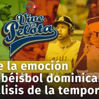 Análisis de la Temporada de Béisbol 2024 en la República Dominicana: Rendimiento de Licey, Águilas, Toros, Escogido y Estrellas