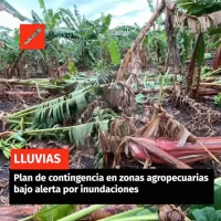 Plan de contingencia en zonas agropecuarias bajo alerta por inundaciones