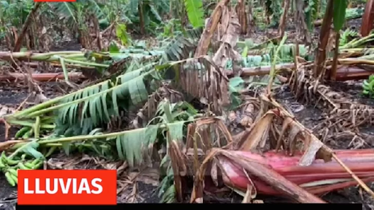 Plan de contingencia en zonas agropecuarias bajo alerta por inundaciones