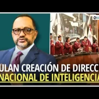 Tribunal Constitucional anula la ley que creaba la Dirección Nacional de Inteligencia