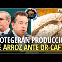 Gobierno PROTEGERÁ producción de arroz ante cláusula del DR-CAFTA