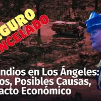 Incendio en Los Ángeles 2025: Posibles Causas, Impacto Económico, Situación Inmobiliaria, Crisis con los Seguros