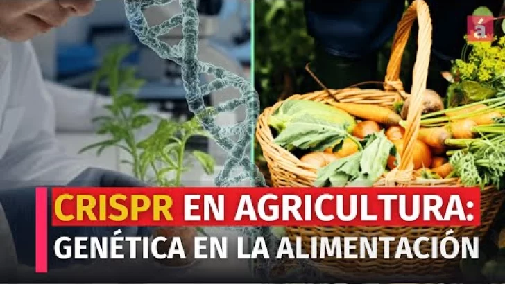 CRISPR en Agricultura: Revolución Genética para la Seguridad Alimentaria Global