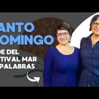 Santo Domingo sede del Festival Mar de Palabras con 27 escritores, informa Fundación René del Risco