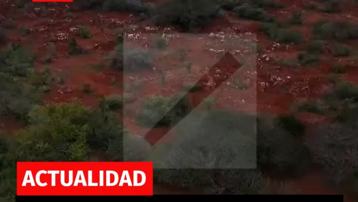República Dominicana, con la vista puesta en tierras raras mientras EE. UU. muestra un creciente interés por este tipo de recurs