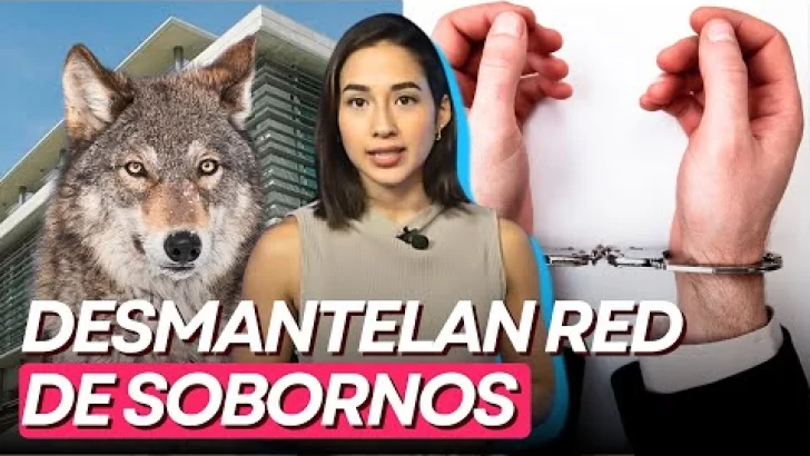 Operación Lobo: Desmantelan red que sobornaba para obtener contratos en Senasa, Inaipi y las EDES