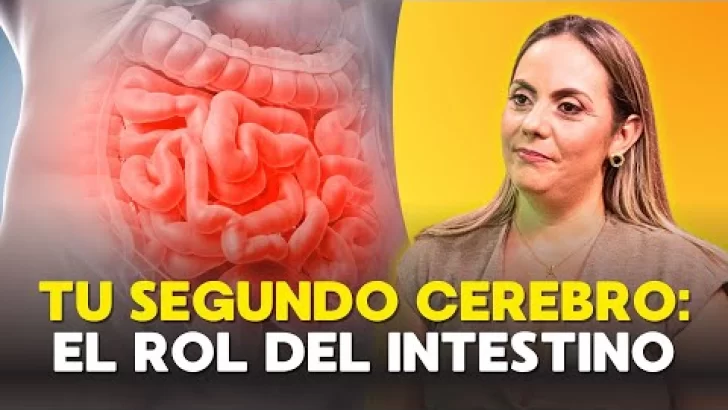 Tu segundo cerebro: el rol silencioso pero poderoso del intestino