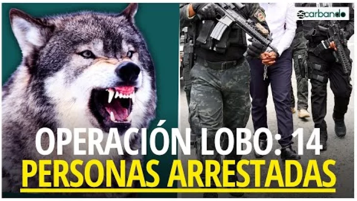 Operación Lobo: 14 personas arrestadas por sobornos