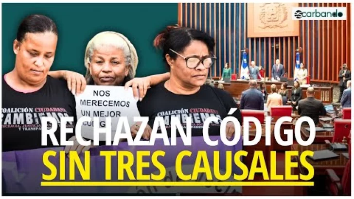 Activistas y organizaciones de mujeres rechazan nuevo Código Penal sin tres causales