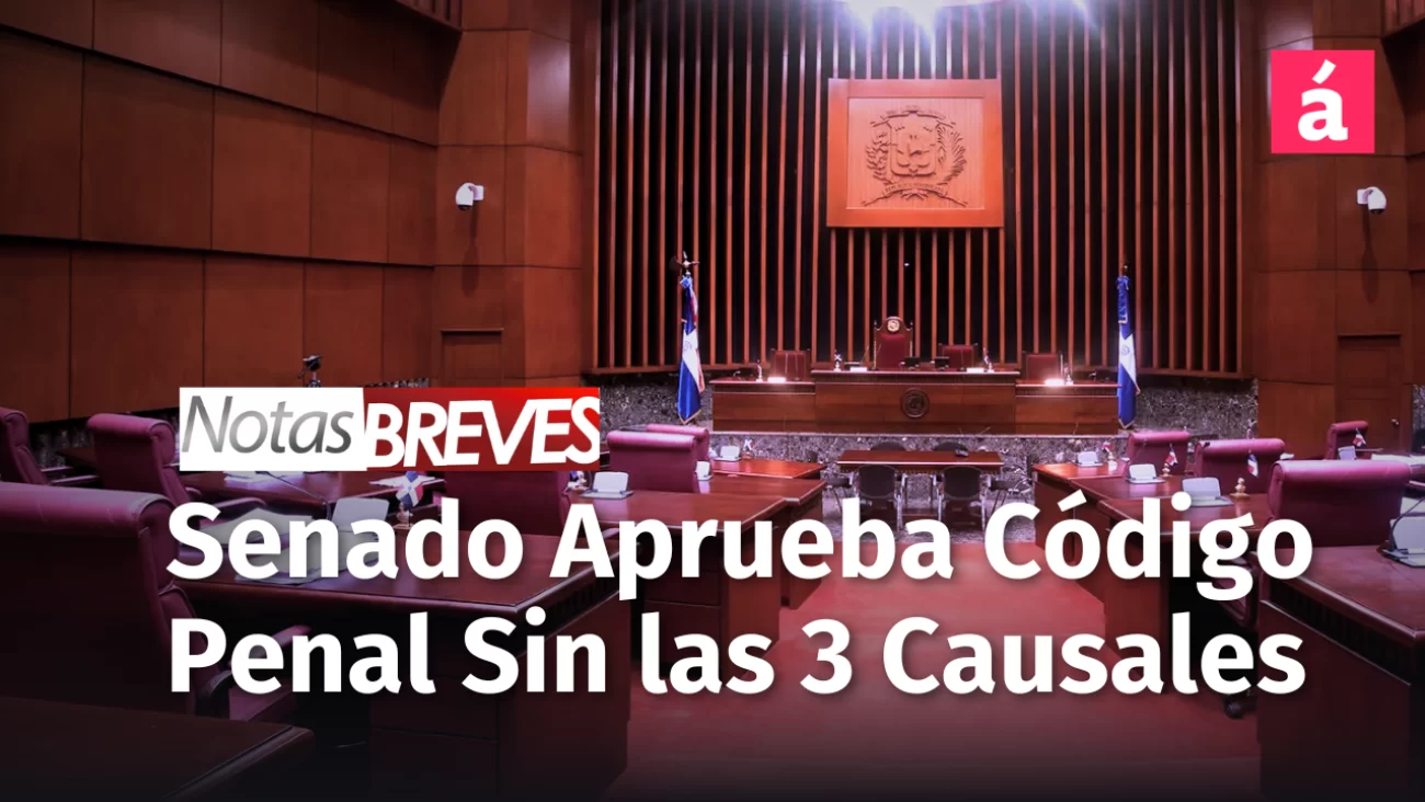 Senado aprobó en segunda lectura el nuevo Código Penal sin causales ...