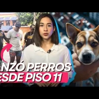 Arrestan estadounidense acusado de lanzar a 2 perros del piso 11
