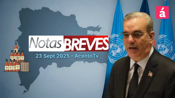 Decomisan cientos de rones en la frontera, el Gobierno dice haber retirado 460 armas y Abinader en la ONU