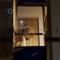 ¿Pagarías $499 al mes por este robot?