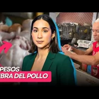 Comerciantes dicen pollo podría llegar a RD$200 la libra por desabastecimiento