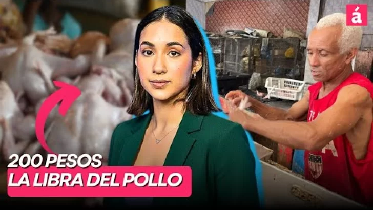 Comerciantes dicen pollo podría llegar a RD$200 la libra por desabastecimiento Comerciantes dicen pollo podría llegar a RD$200 la libra por desabastecimiento