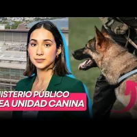 Ministerio Público crea Unidad Canina para fortalecer búsqueda de personas desaparecidas