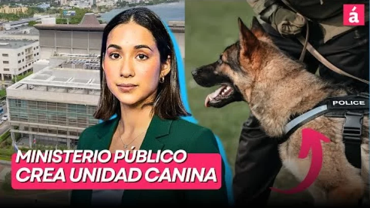 Ministerio Público crea Unidad Canina para fortalecer búsqueda de personas desaparecidas